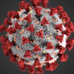 Immunity for Common Cold Coronaviruses May Ward off Severe Covid-19